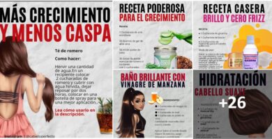 Collage Remedios Caseros para el Cabello