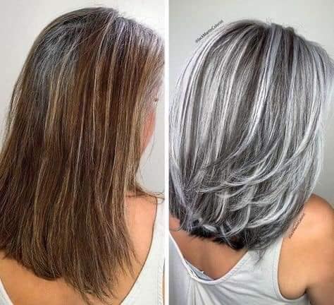 Cover your gray hair with Silver or Ash straight to ash bob