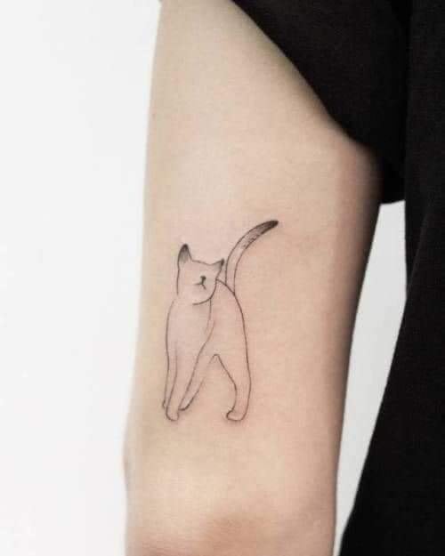 Los mejores tatuajes de gatos contorno de gato en brazo