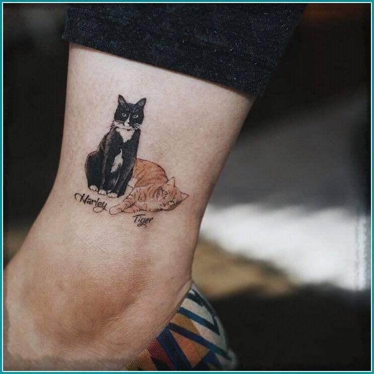 I migliori tatuaggi di gatti in bianco e nero e arancione due