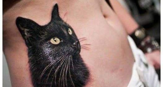 The best realistic cat tattoos of black cat