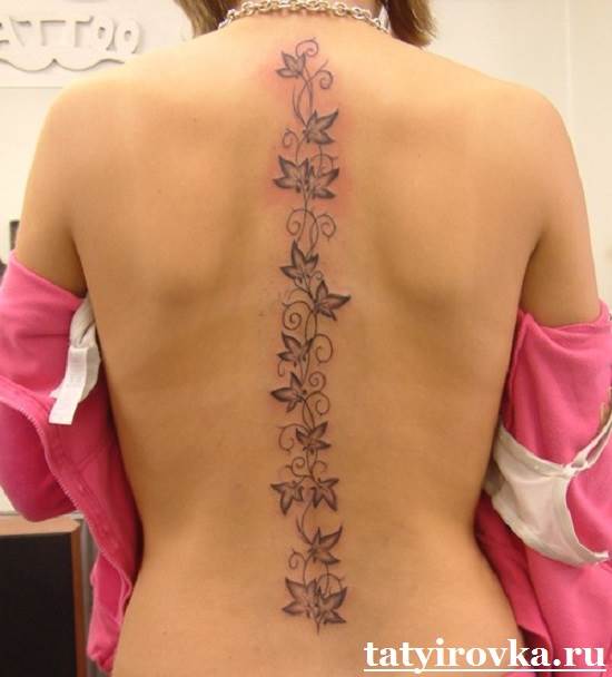 Vite tatuata su tutta la colonna vertebrale sulla colonna vertebrale