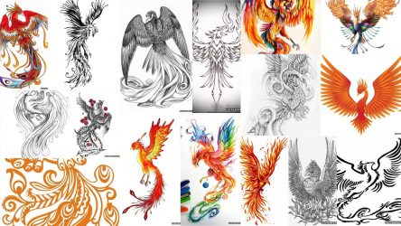 Esboços e estênceis de tatuagem de pássaro Phoenix