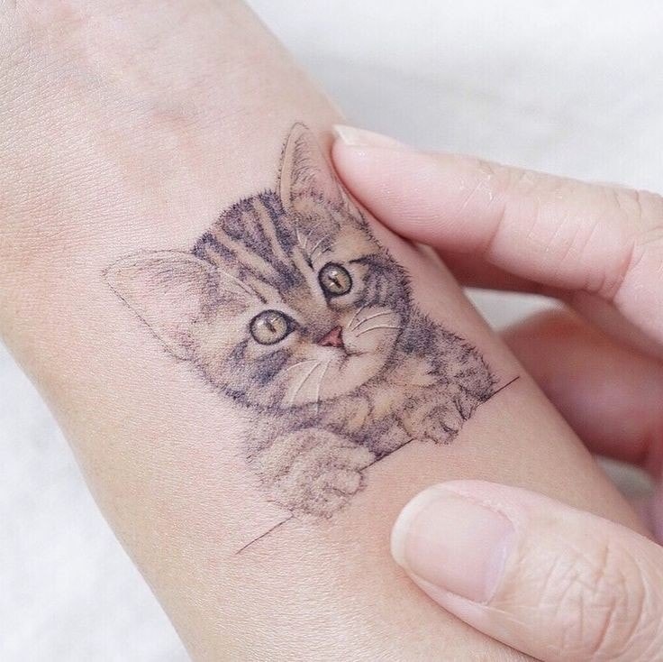 Cat puppy cat tattoo