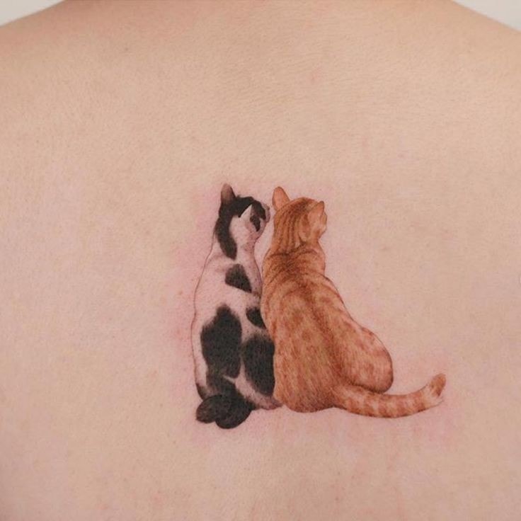 Tatuagem de gato laranja e preto e branco