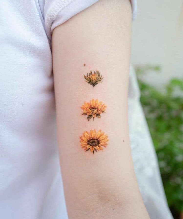 Tatuaje de Girasol Pequeno Tres girasoles en brazo