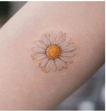Pequenas lindas tatuagens para mulheres pequenas margaridas