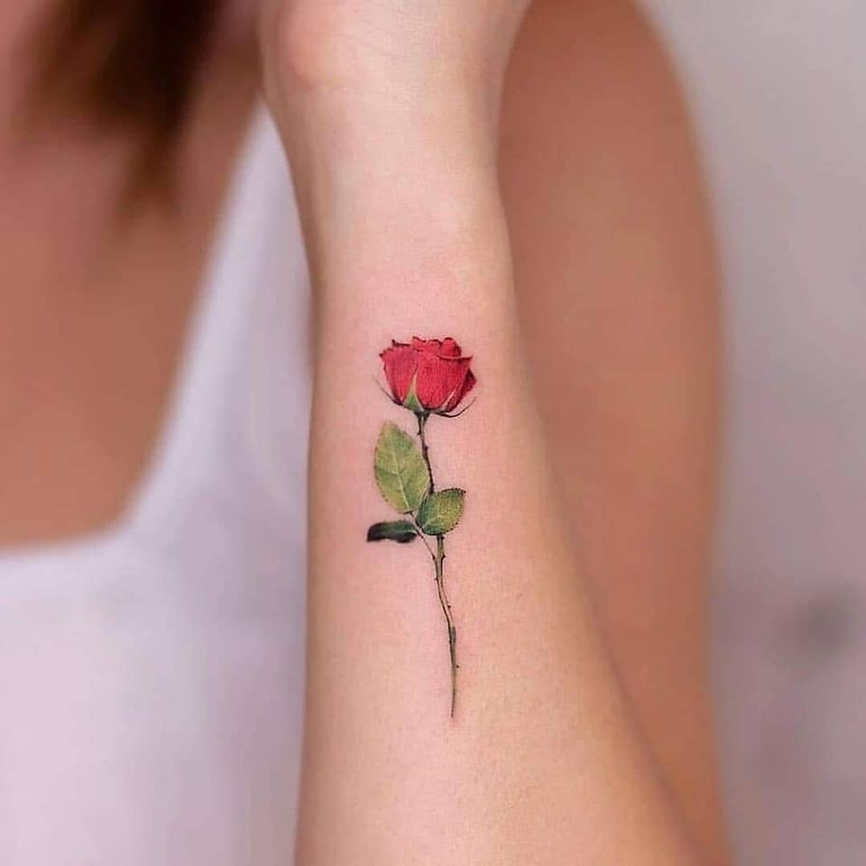 Tatuajes Bellos para Mujeres Rosa roja en antebrazo