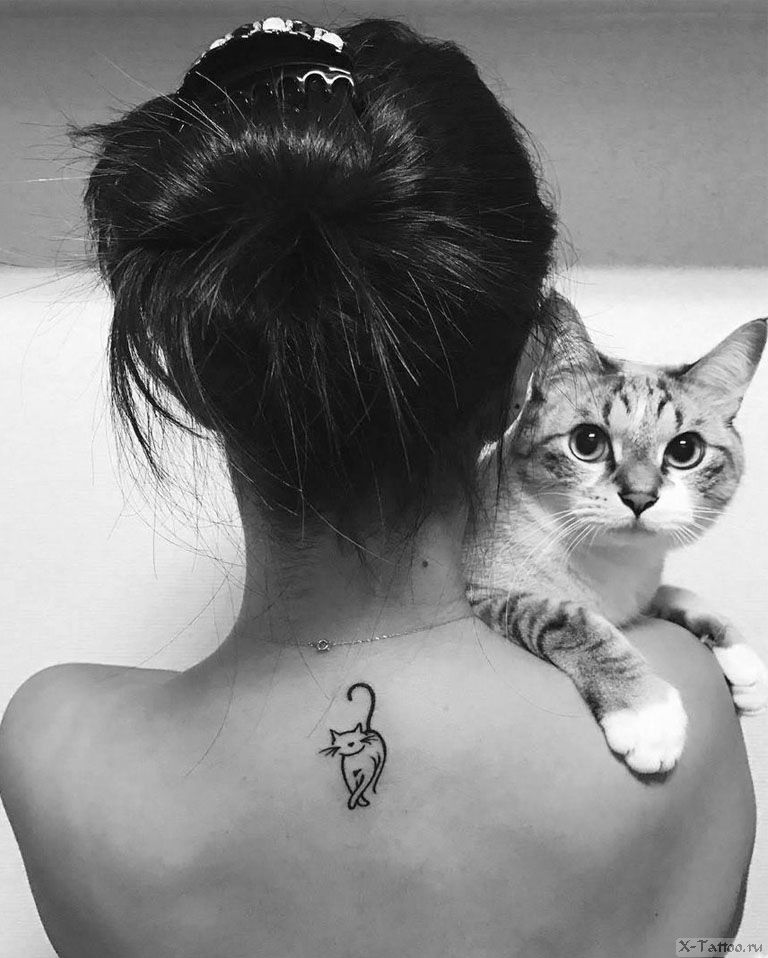 Tatuajes aesthetic super minimalistas hermoso gato debajo del cuello mujer