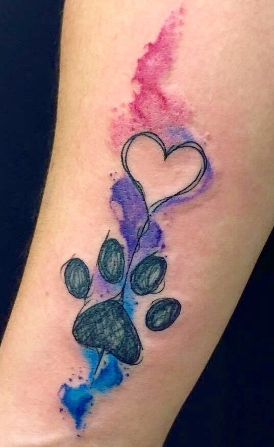 Tatuagens em aquarela de patas e coração de cachorro ou gato