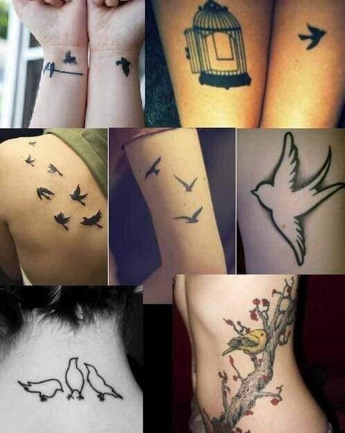 Tatuaggi di uccelli Collage di uccelli di uccelli