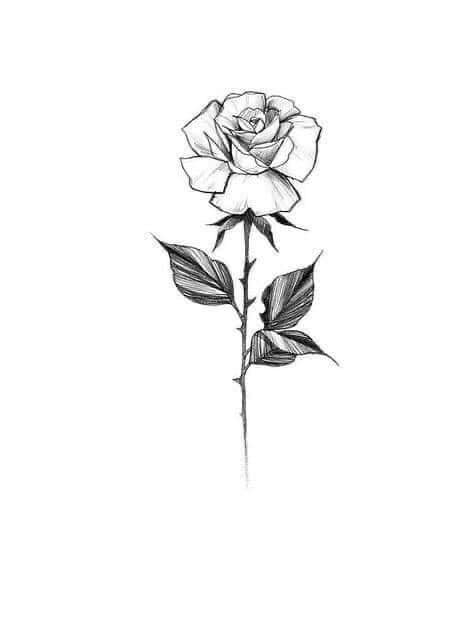 Estêncil de esboço de tatuagem de flor negra rosa simples