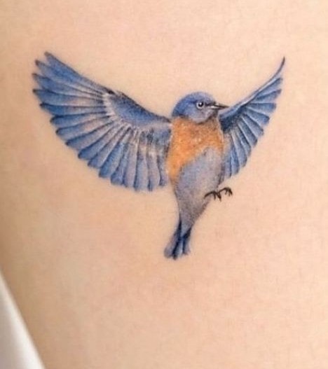 tatuagens de pássaros azuis e marrons