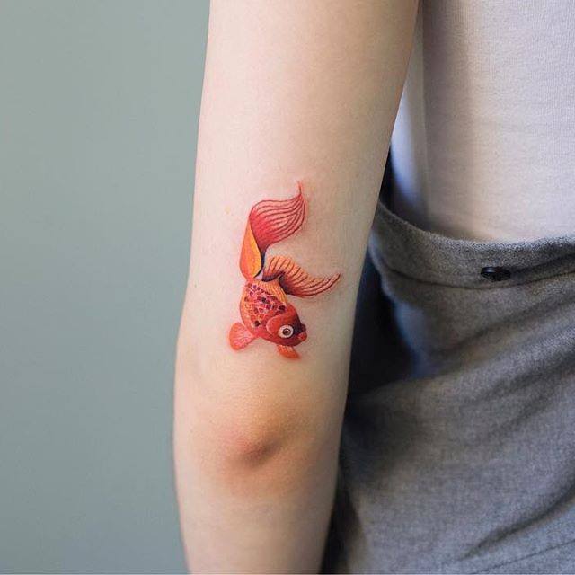 tatuagens de peixe acima do cotovelo vermelho