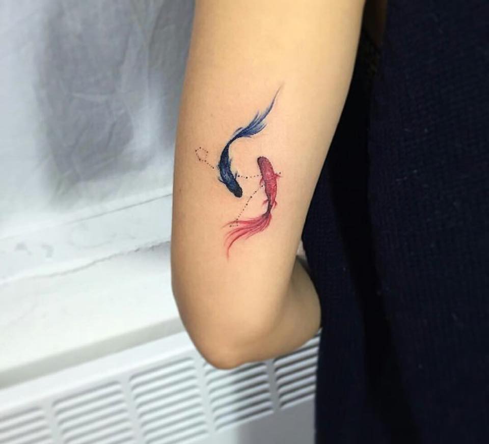 Tatuagens de peixe azul e vermelho no braço