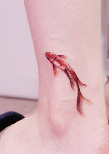 Rote Fisch-Tattoos auf der Wade