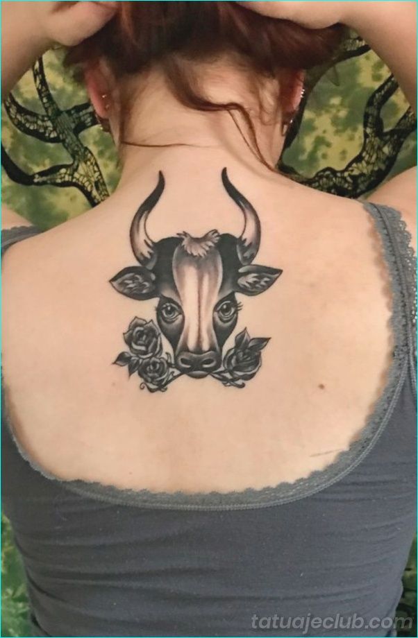 Taurus tattoos between the two shoulder blades on the back