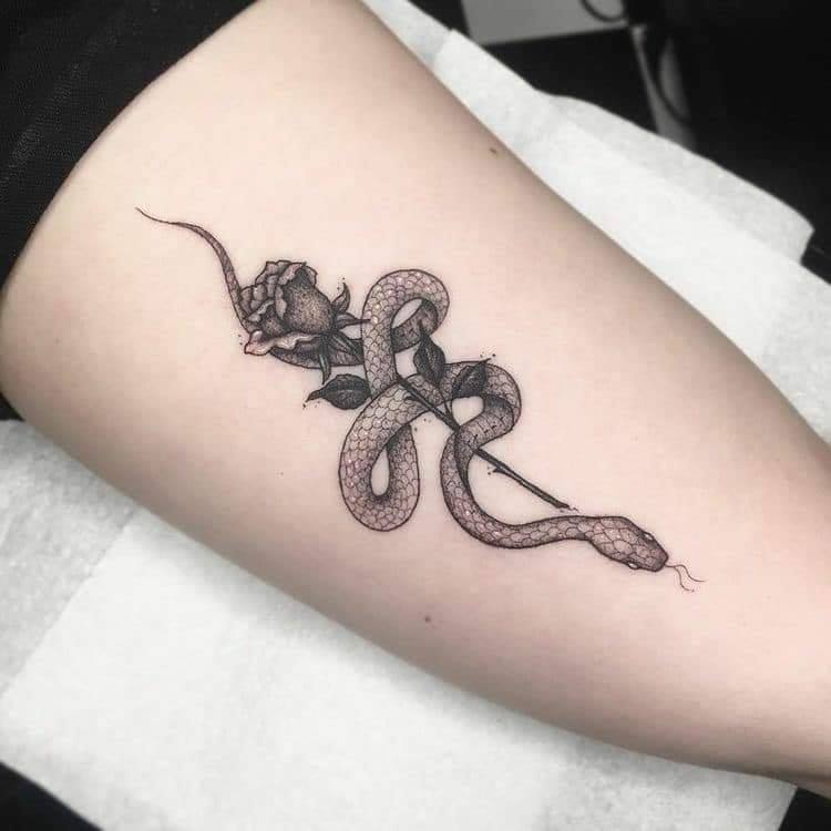 Tatouages de serpents vipères enroulés dans une rose