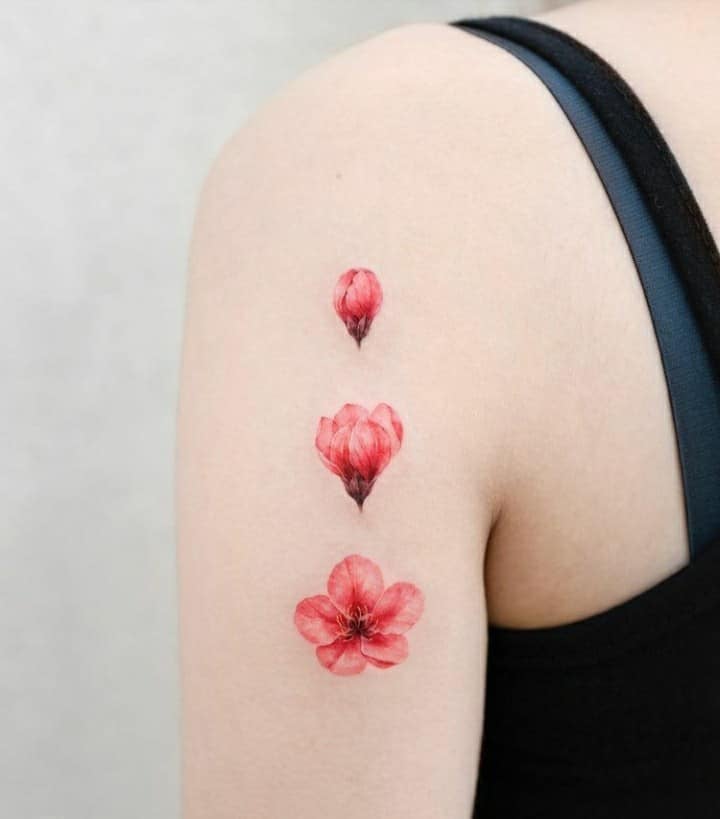 Tattoos of delicate flowers in three more open bud stages and in red flower on the arm