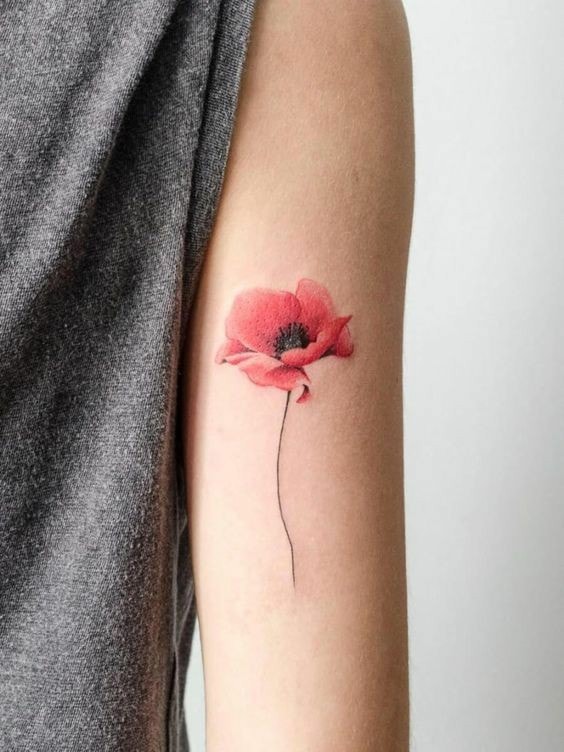 Tattoos of red flowers with fine Poppy petals on the arm of a woman near the shoulder