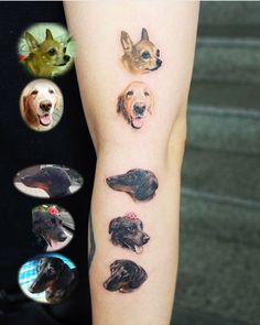 Tatuaggi per cani, omaggio al tuo animale domestico, copia di facce di cani realistiche sul braccio