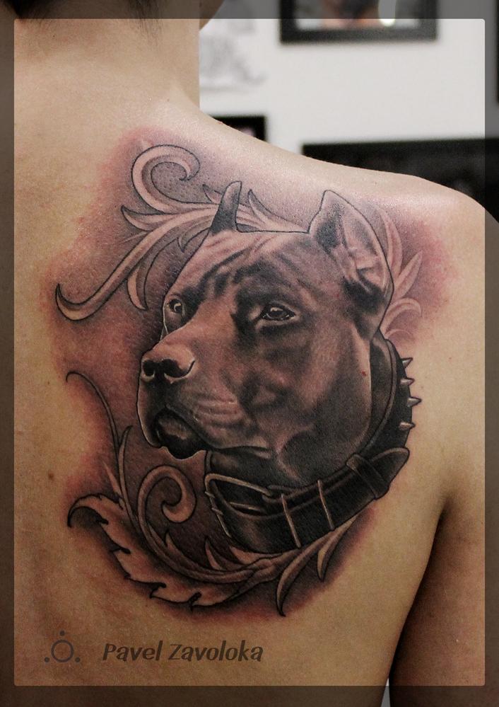 Tattoos for Dogs homenagem ao seu animal de estimação nas costas de um homem