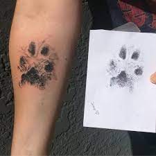 Tatouages pour chiens hommage à l'empreinte de votre animal de compagnie copiée