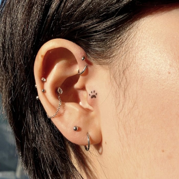 Super small tattoos for women detail of dog or cat paw in ear